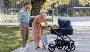 Lux Evo Naturkind dečija kolica